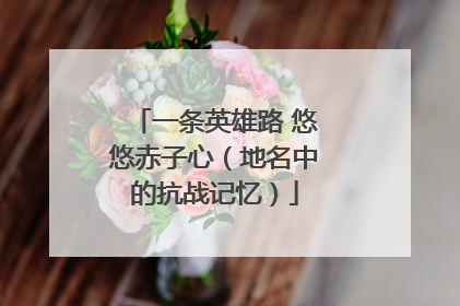 一条英雄路 悠悠赤子心（地名中的抗战记忆）